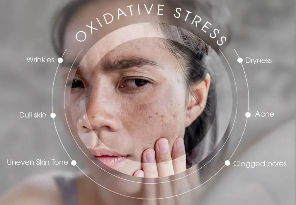 Understanding Oxidative Stress: How It Affects Your Skin